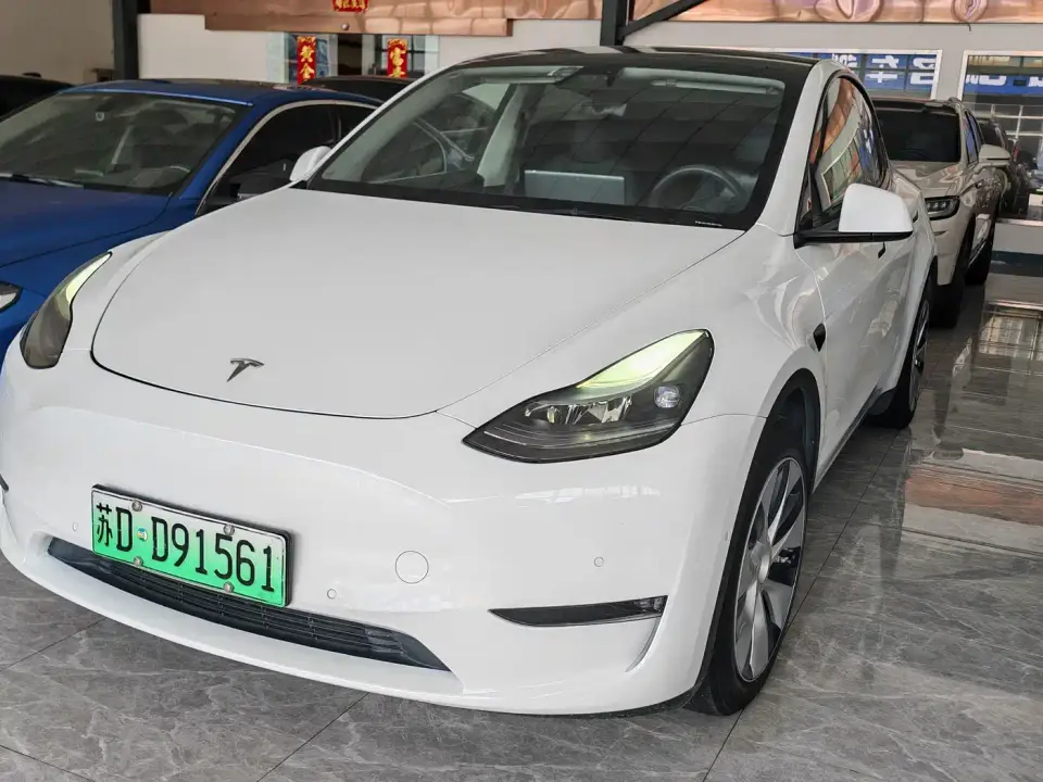 Tesla Model Y Standard Range Rear-Wheel Drive 2021