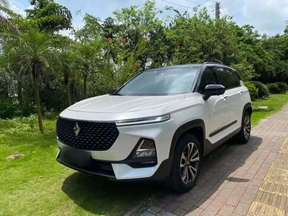 Baojun RS-5 1.5T CVT Intelligent Driving Control Flagship Edition China V 2019
