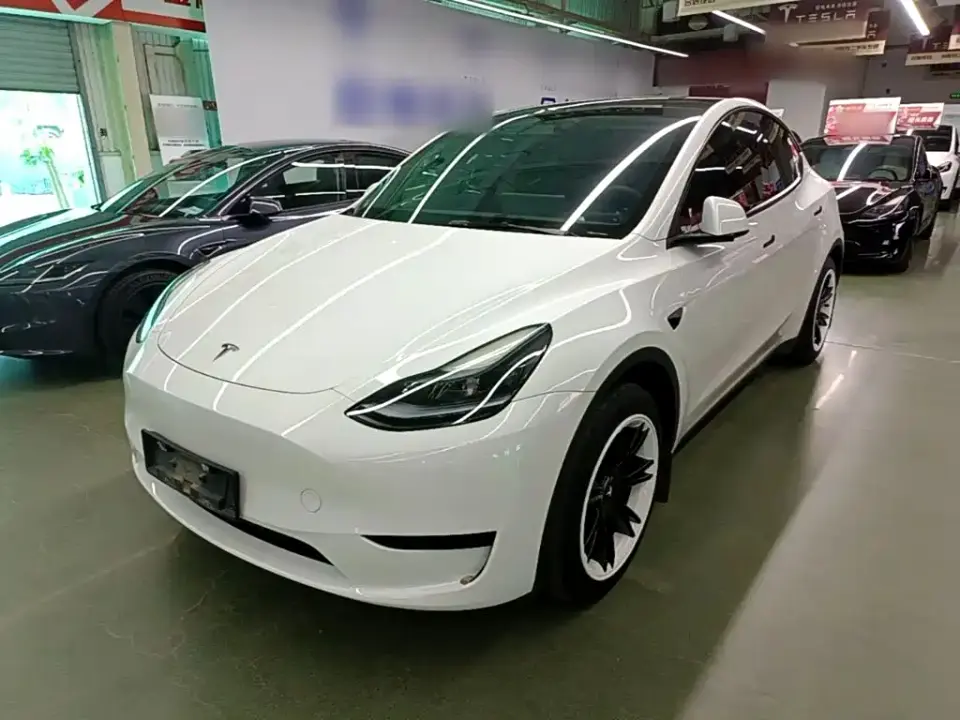 Tesla Model Y Rear-Wheel Drive Version 2025