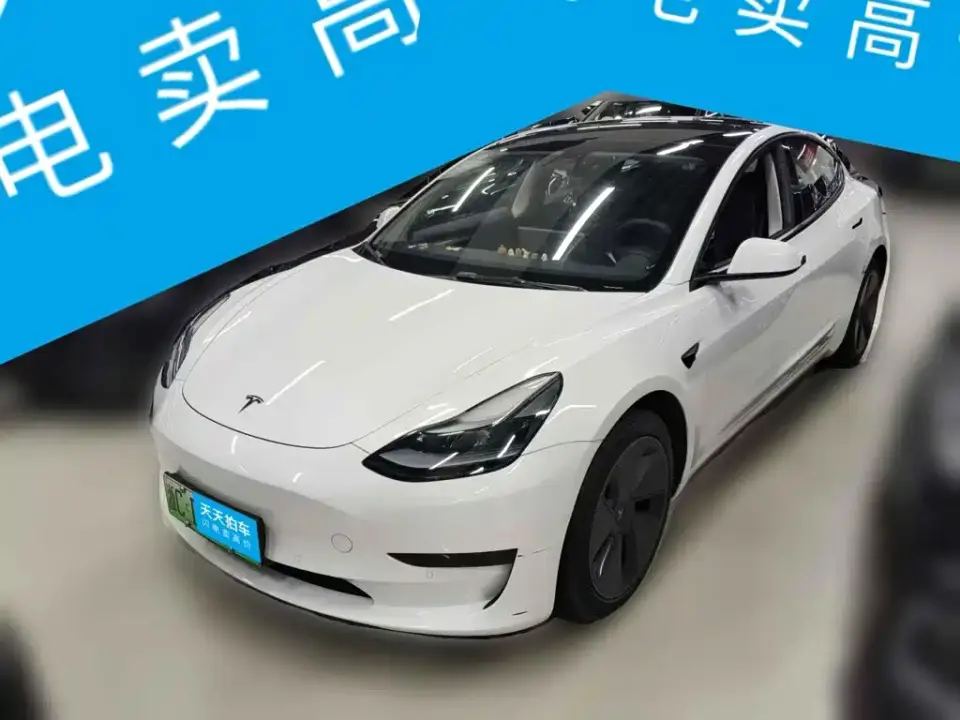 Tesla Model 3 Standard Range Rear-Wheel Drive Upgrade 3D6 2022