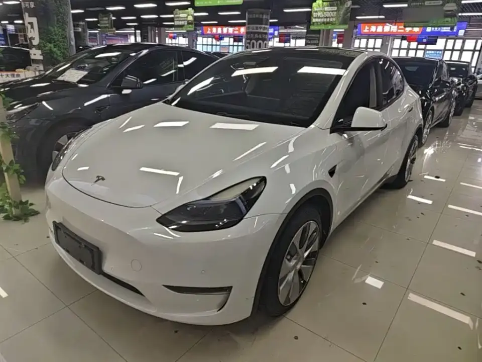 Tesla Model Y Standard Range Rear-Wheel Drive 2021