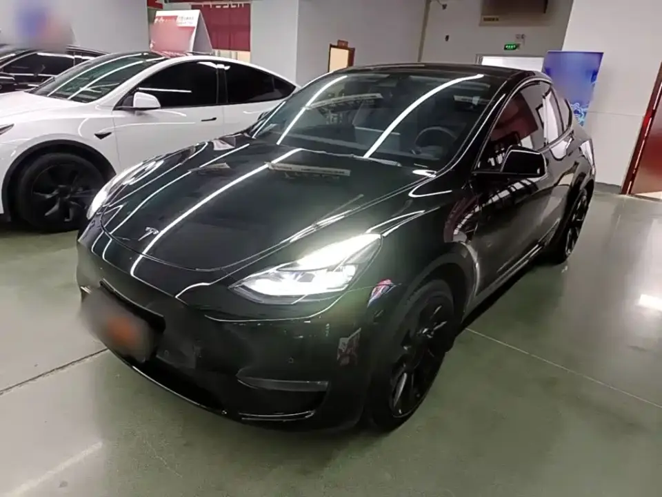 Tesla Model Y Standard Range Rear-Wheel Drive 2021