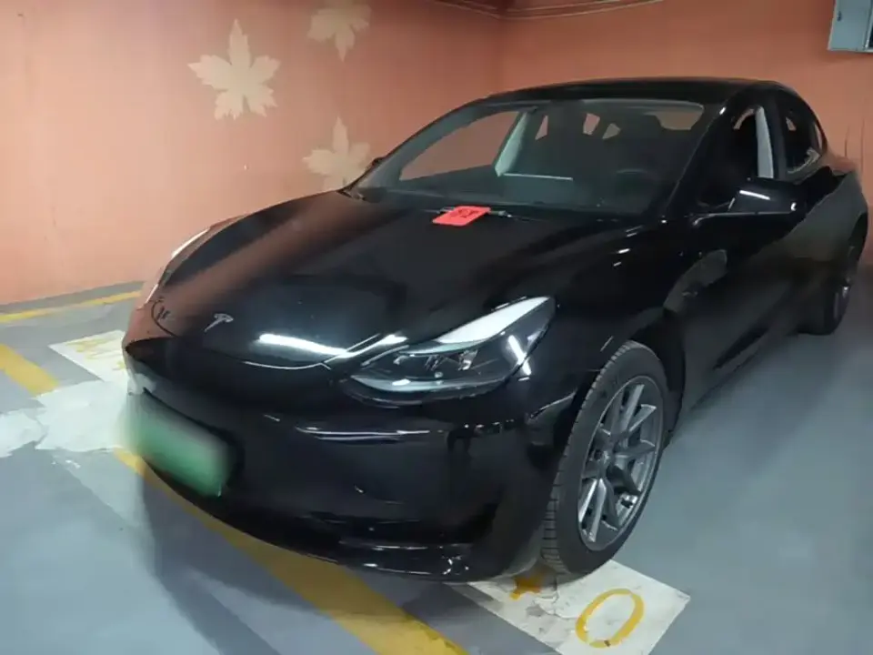 Tesla Model 3 Model Rear-Wheel Drive Version 2022