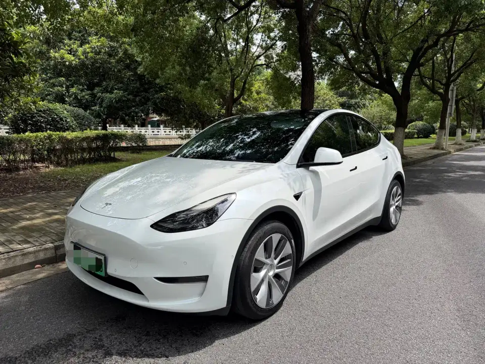 Tesla Model Y Standard Range Rear-Wheel Drive 2022