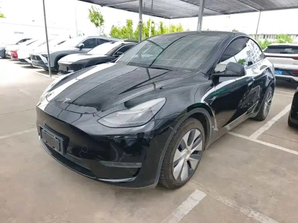 Tesla Model Y Standard Range Rear-Wheel Drive 2021