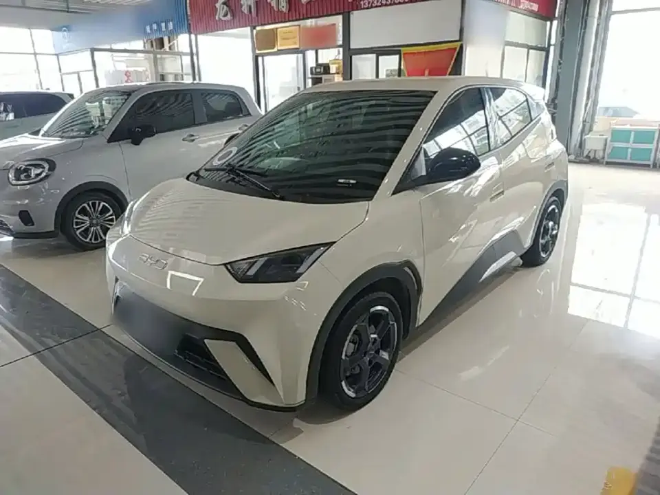 BYD Seagull Glory Edition 305km Freedom Edition 2024