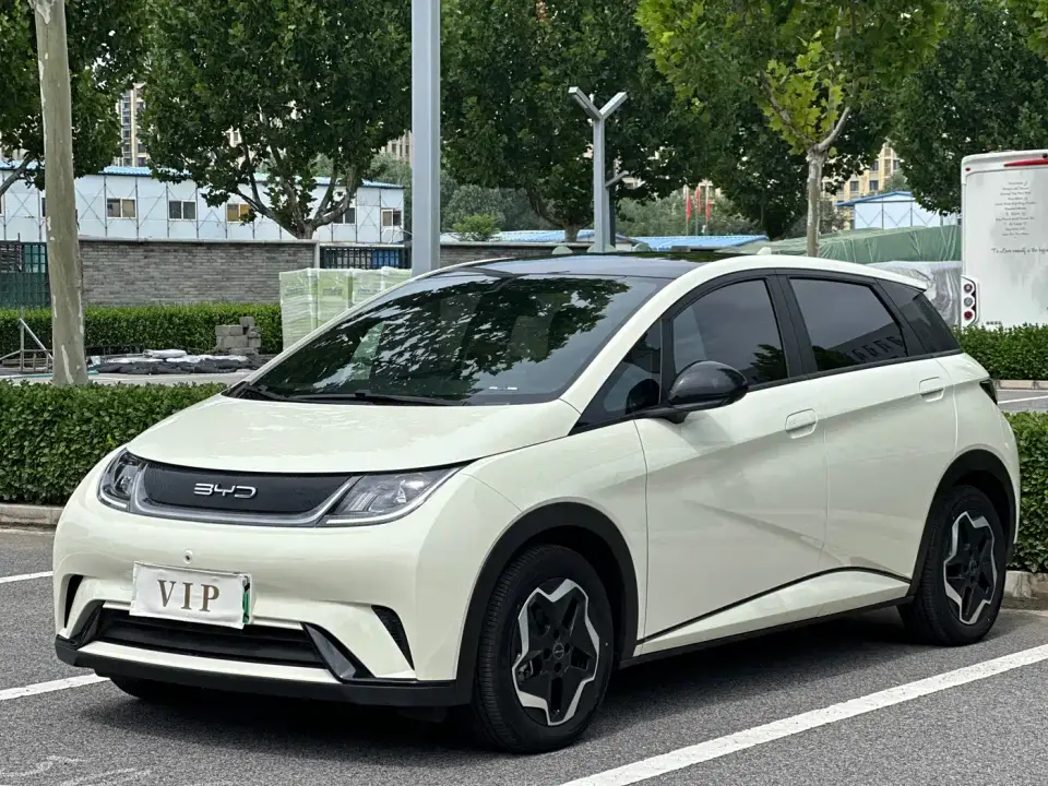 BYD Dolphin Model 405km Fashion Edition 2022