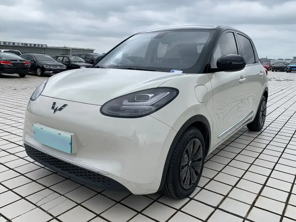 Wuling Motors Wuling Bingo 410km Lingxi Premium Edition 2024