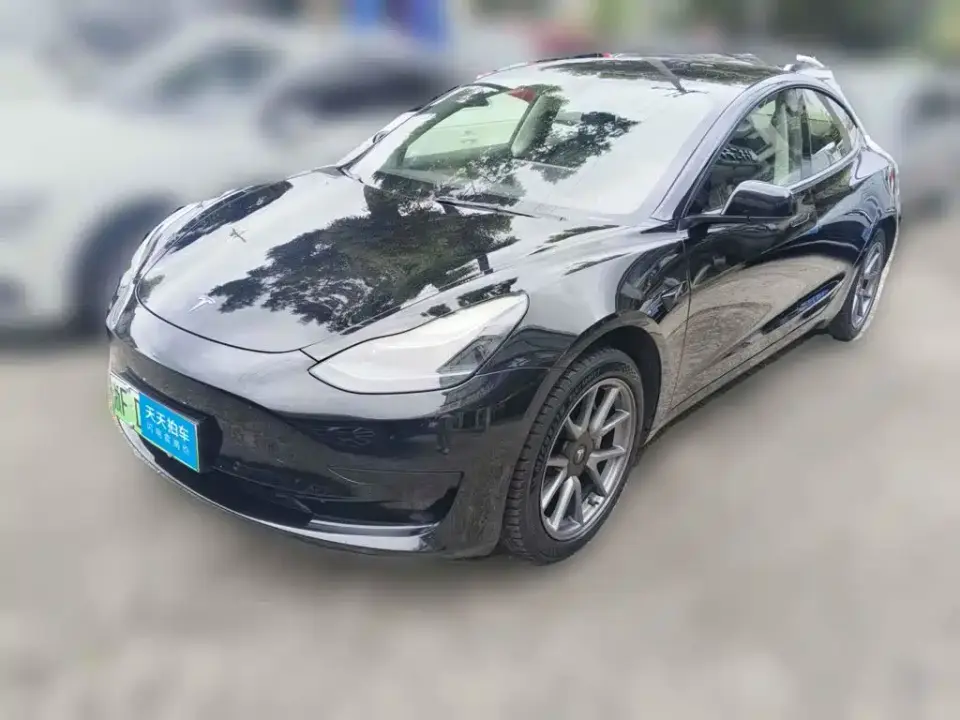 Tesla Model 3 Model Rear-Wheel Drive Version 2022