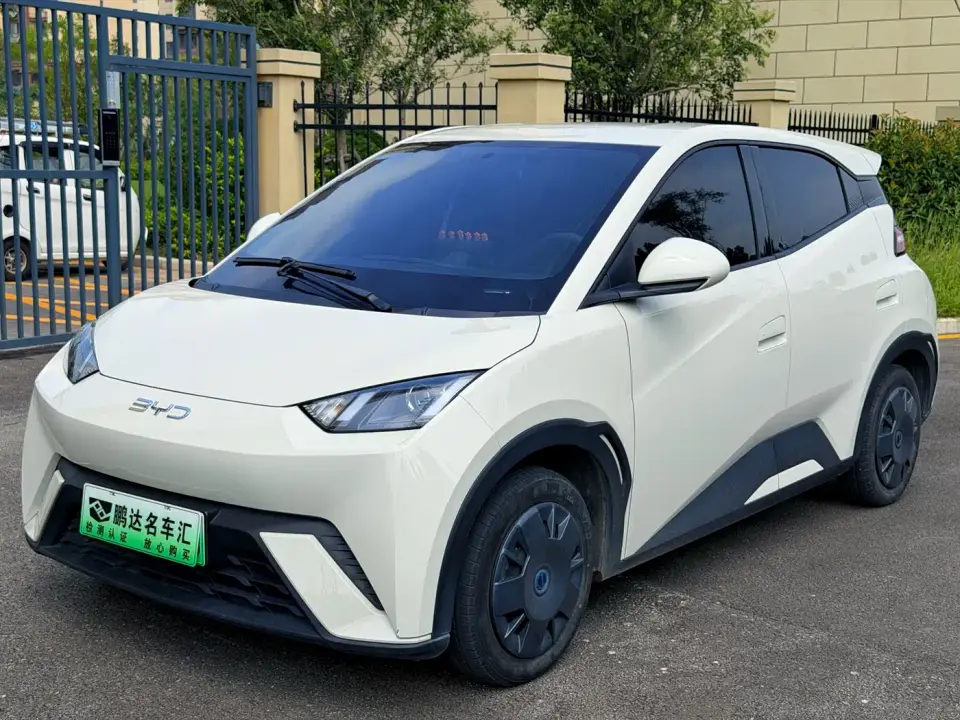 BYD Seagull 305km Vitality 2024