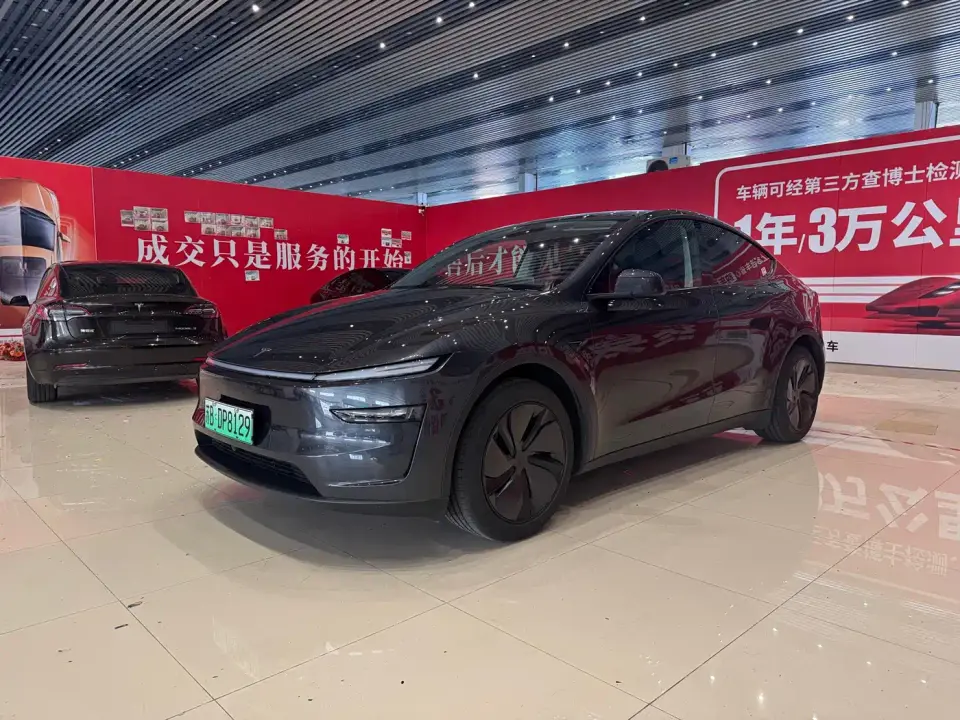 Tesla Model Y Model Rear-Wheel Drive Launch Edition 2025