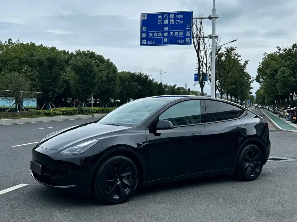 Tesla Model Y Rear-Wheel Drive Version 2022