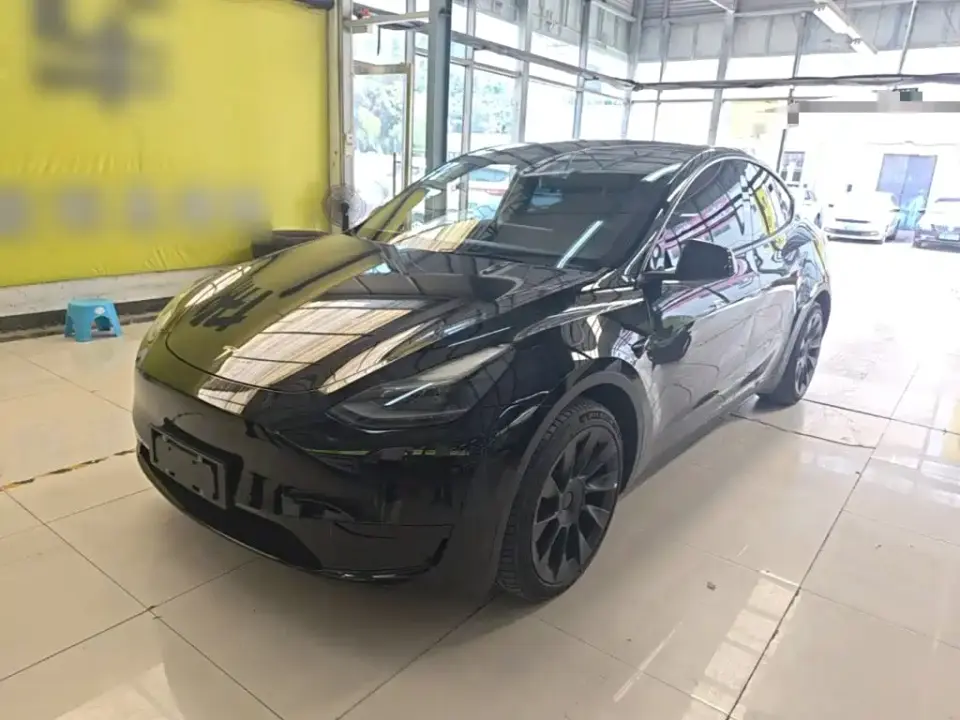 Tesla Model Y Rear-Wheel Drive Version 2022