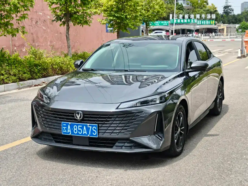 Changan Yida Blue Whale NE 1.5T GDI DCT Pilot 2024