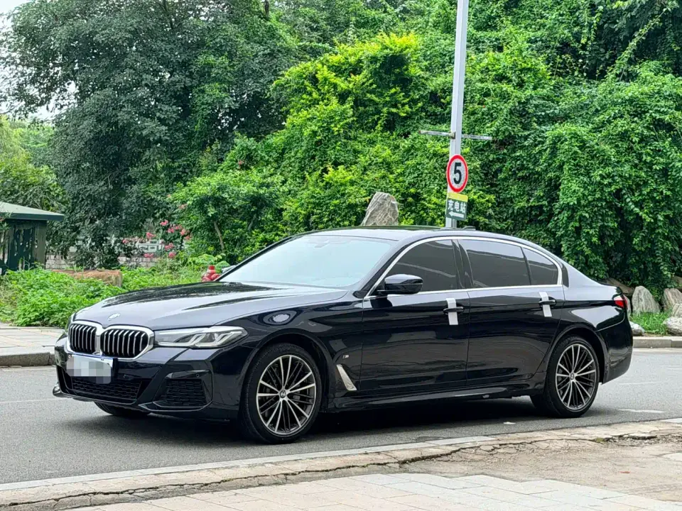 BMW 5 Series 530Li Leading M Sport Package 2021