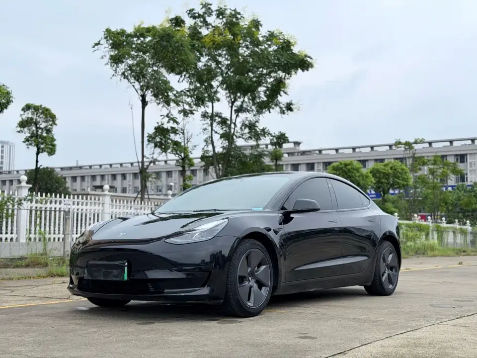 Tesla Model 3 Model Rear-Wheel Drive Version 2022