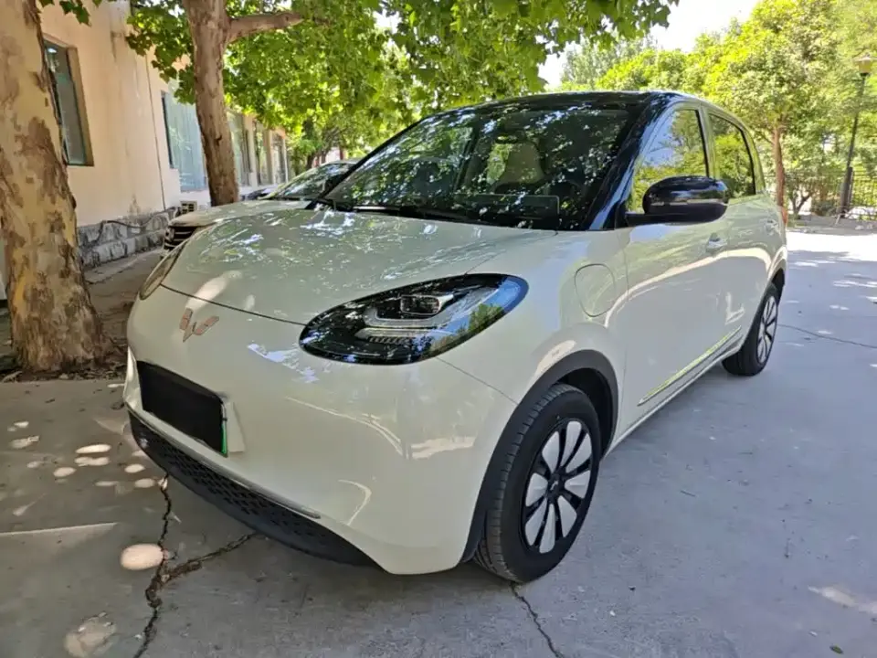 Wuling Motors Wuling Bingo Model 333km Joy+ Version 2024