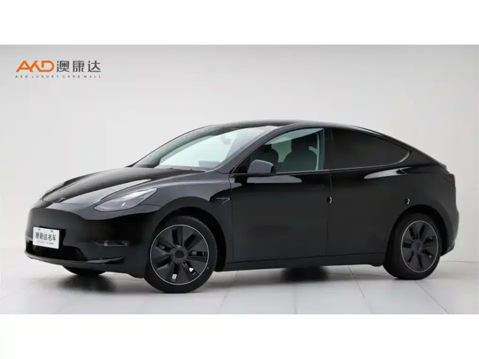 Tesla Model Y Rear-Wheel Drive Version 2022