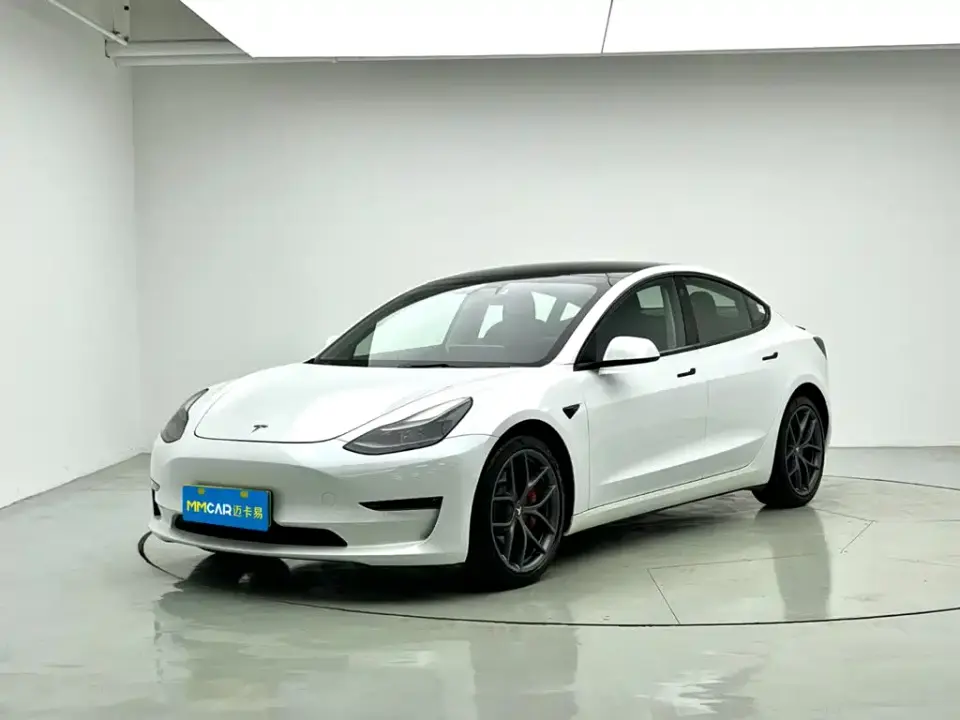 Tesla Model 3 Performance High-Performance All-Wheel Drive 3D6 2021