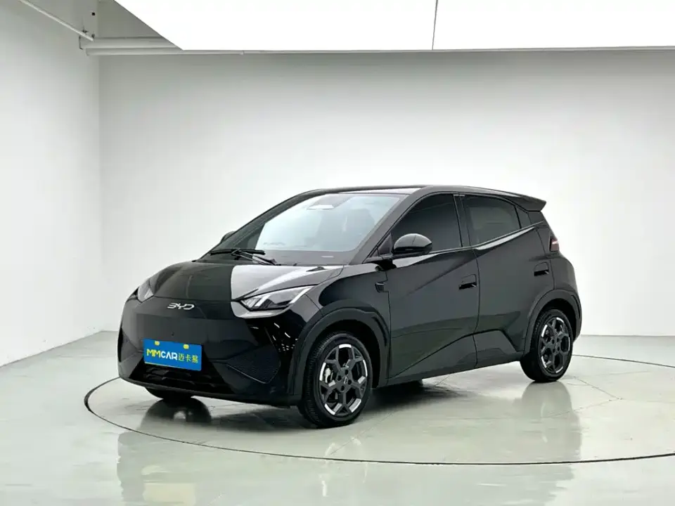 BYD Seagull Smart Drive Edition 305km Freedom Version 2025