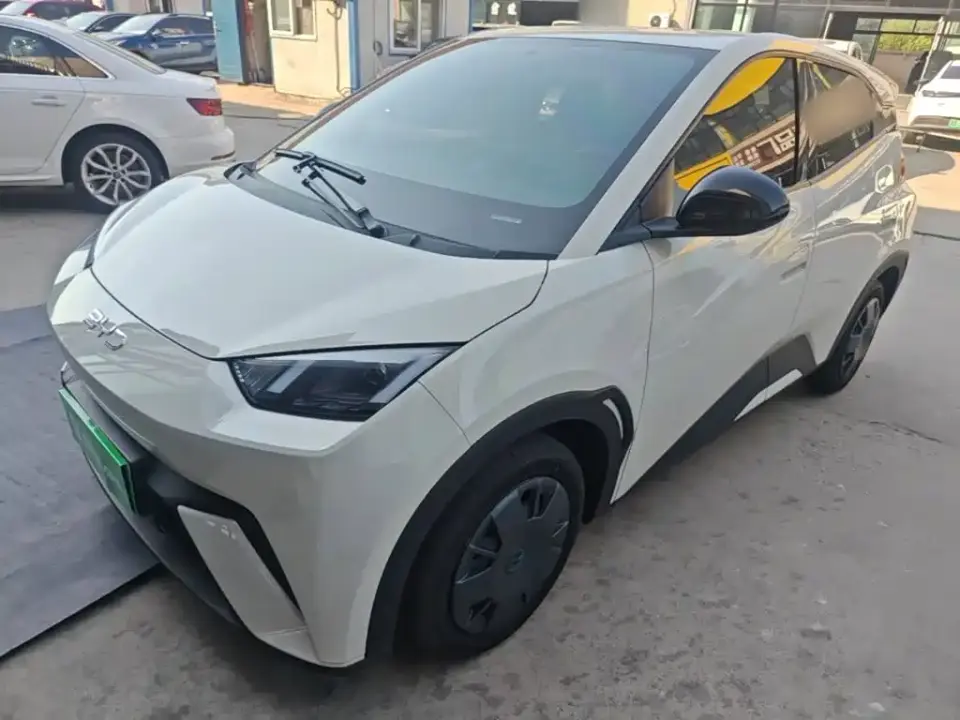 BYD Seagull 305km Vitality 2025