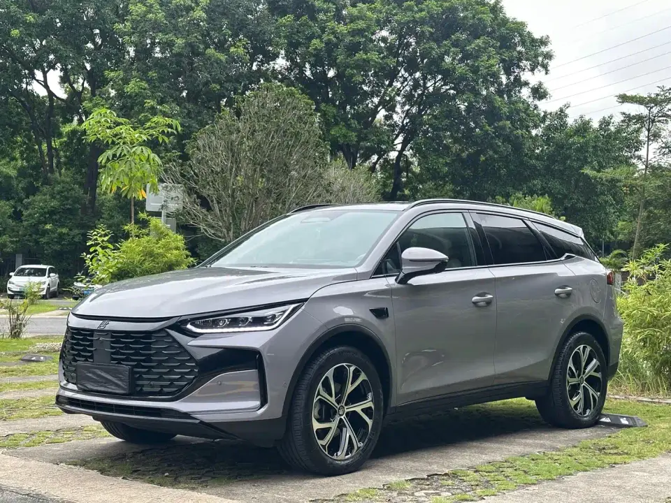 BYD Tang New Energy Smart Driving Edition DM-i 115KM Flagship 2025