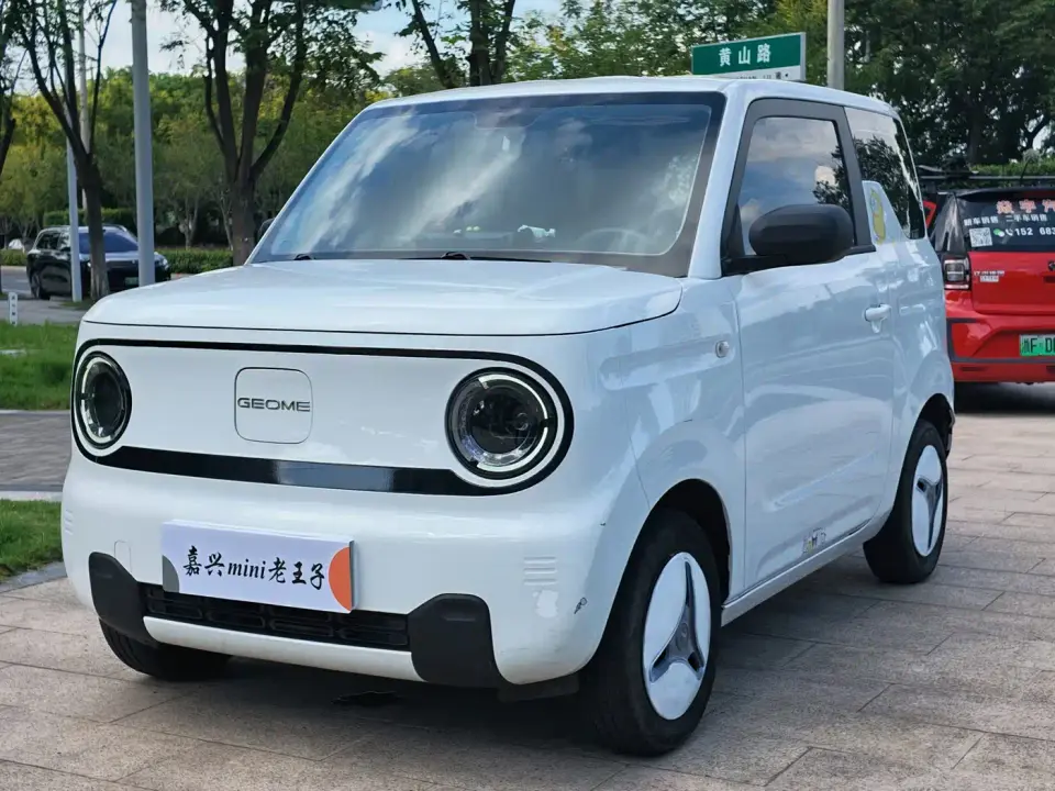 Geely Galaxy Panda Panda mini 200km Endurance Bear 2024