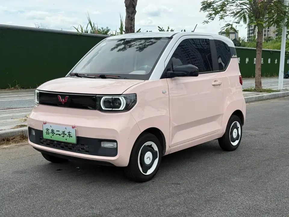 Wuling Motors Hongguang MINIEV Enjoy Edition LFP 2021