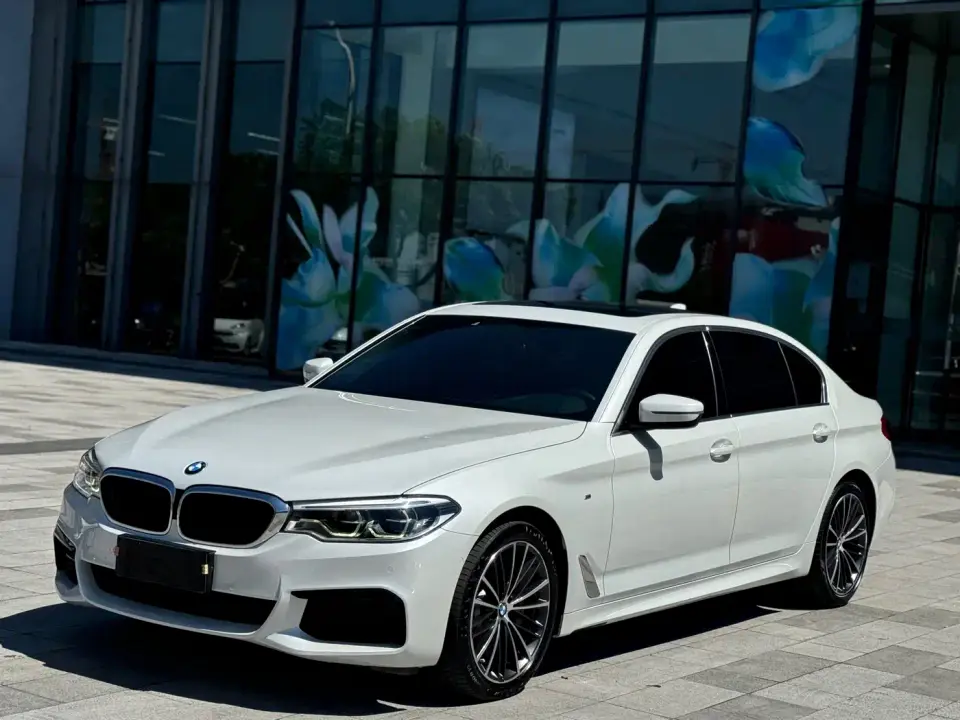 BMW 5 Series 530Li Leading M Sport Package 2020