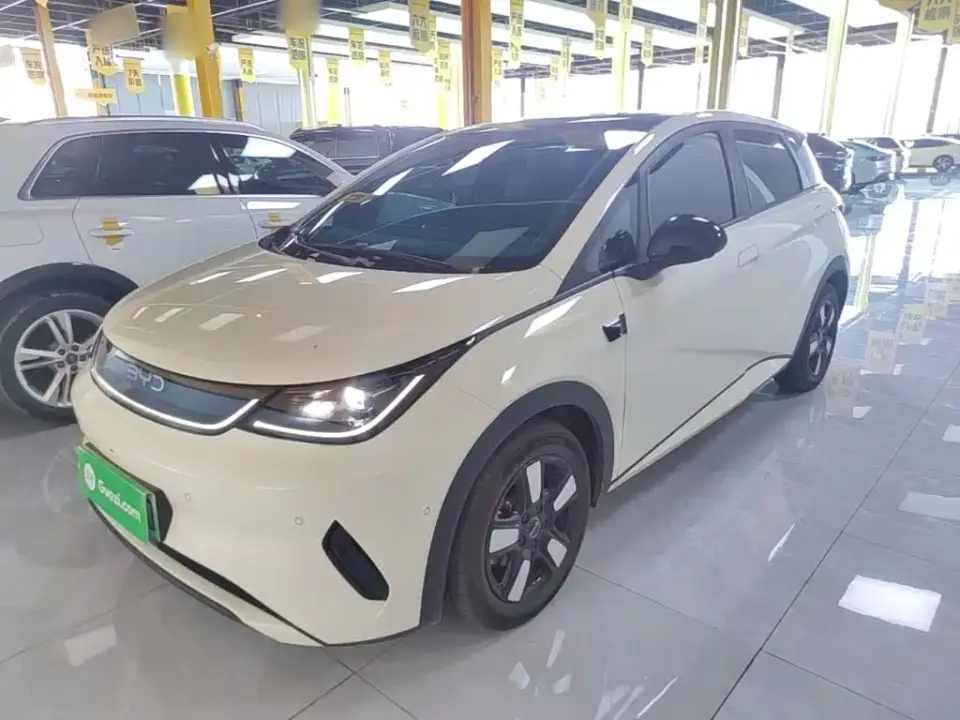 BYD Dolphin Smart Drive Edition 410km Fashion Version 2025