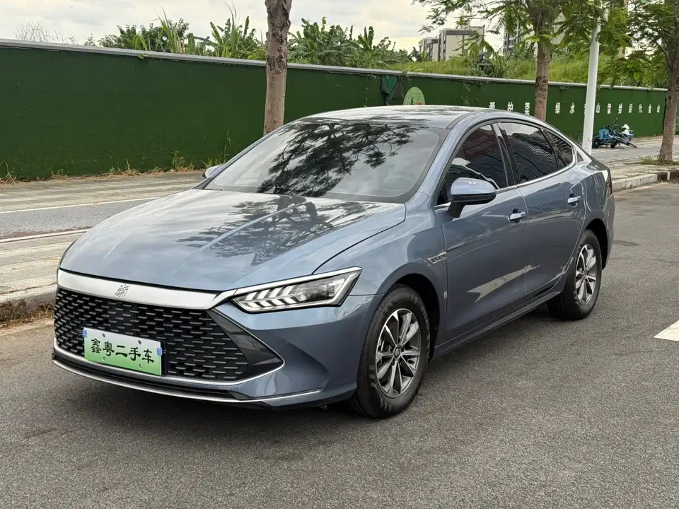 BYD Qin PLUS Glory Edition DM-i 55KM Leading 2024