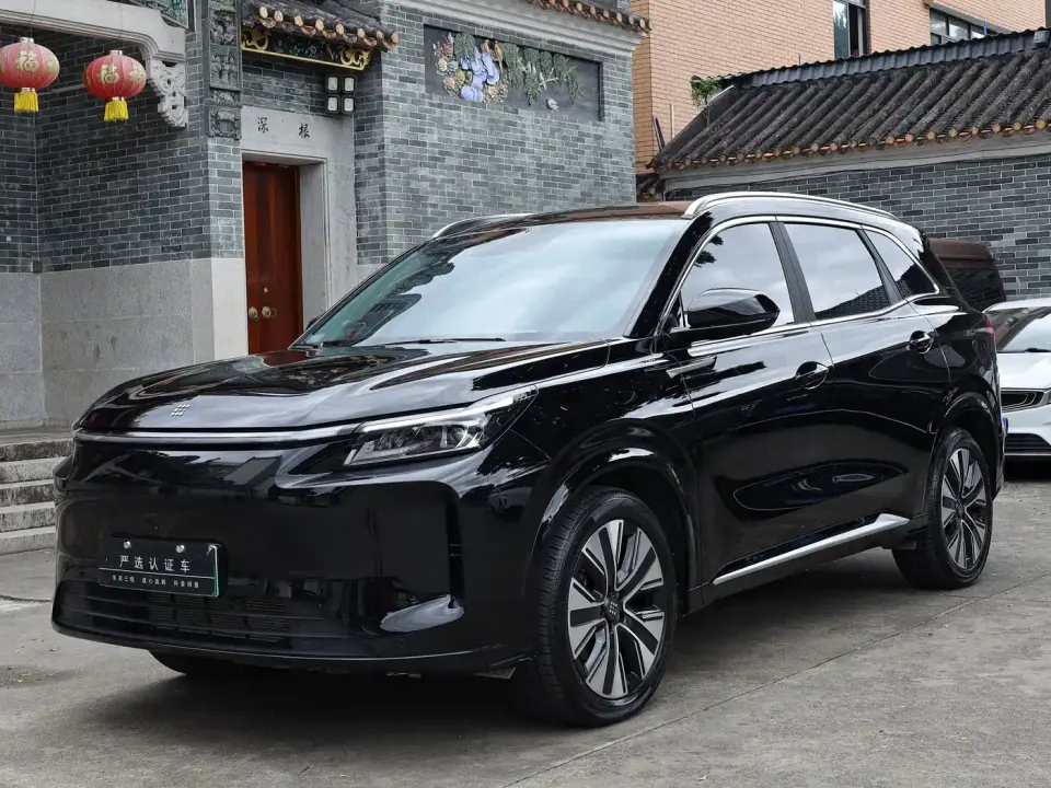 Landian E5 PLUS 165km Long Range Travel Custom Edition 7-seater 2024