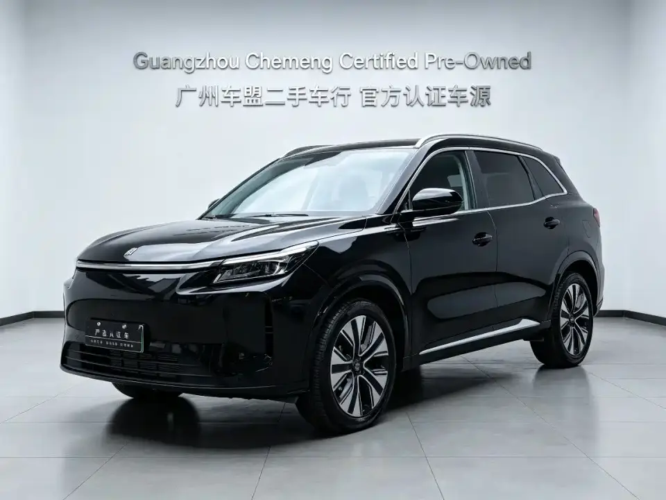 Landian E5 PLUS 165km Long Range Travel Custom Edition 7-seater 2024