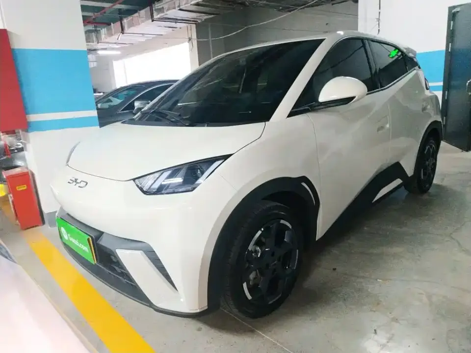 BYD Seagull 305km Freedom 2024