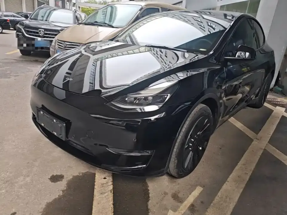 Tesla Model Y Standard Range Rear-Wheel Drive 2021