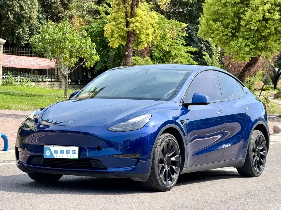 Tesla Model Y Long Range All-Wheel Drive 3D7 2021