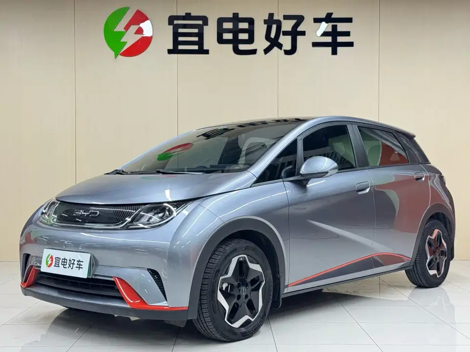 BYD Dolphin Model 405km Fashion Edition 2022
