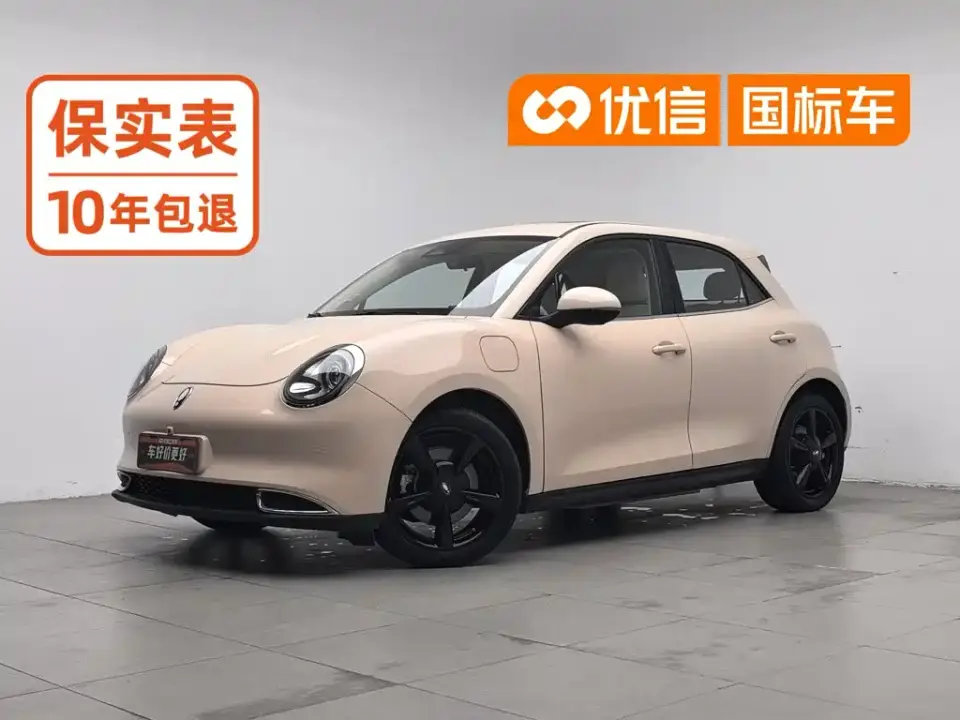 ORA Good Cat 401km Luxury 2024