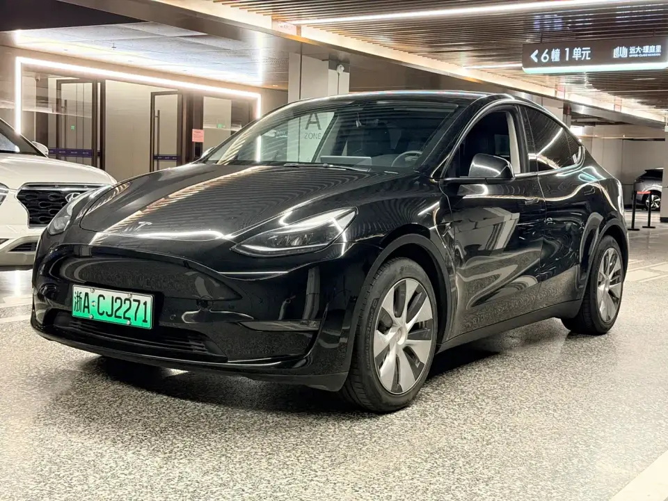 Tesla Model Y Standard Range Rear-Wheel Drive 2021