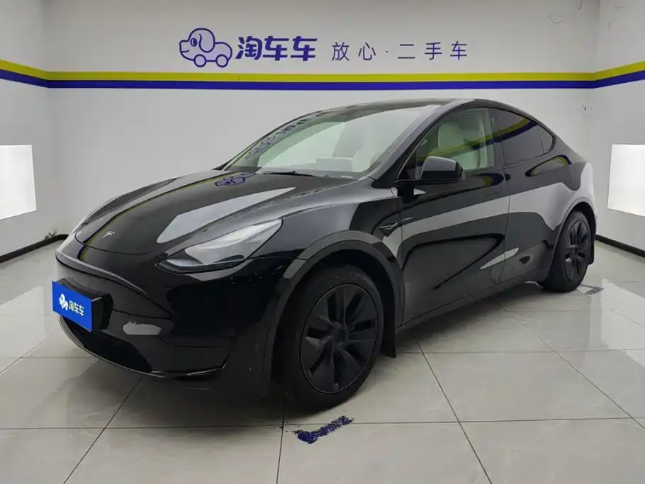 Tesla Model Y Rear-Wheel Drive Edition 2024