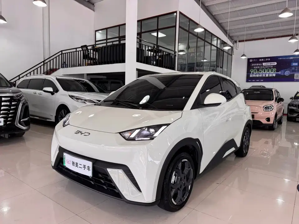 BYD Seagull 305km Freedom 2024