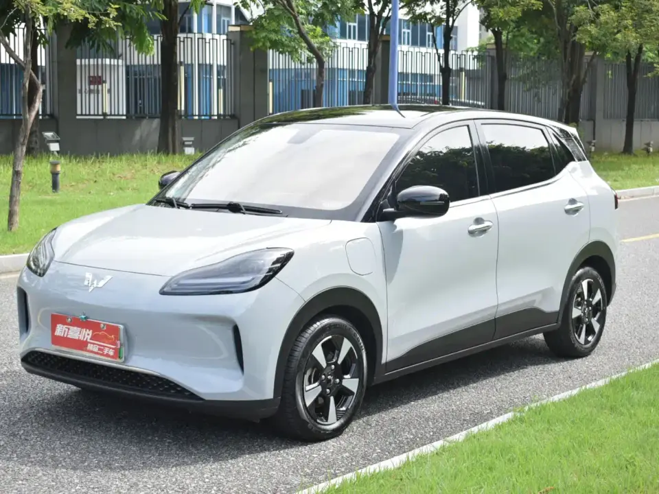 Wuling Motors Wuling Binguo PLUS Model 330km 5-Seater 2024
