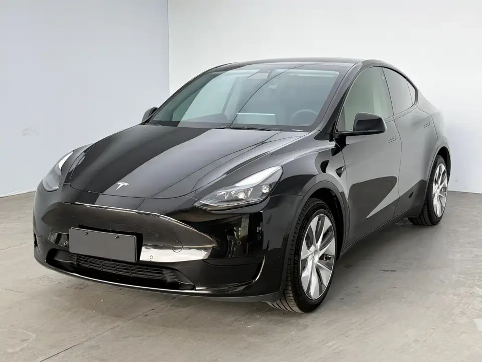 Tesla Model Y Rear-Wheel Drive Version 2022
