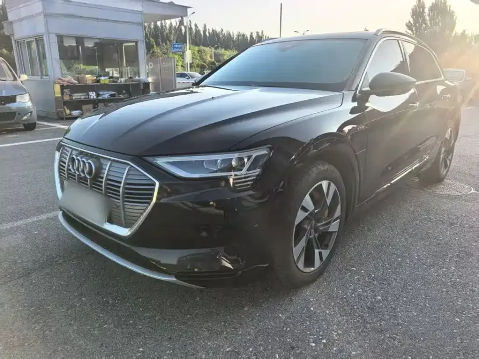 Audi e-tron (Import) 55 quattro Technology 2021