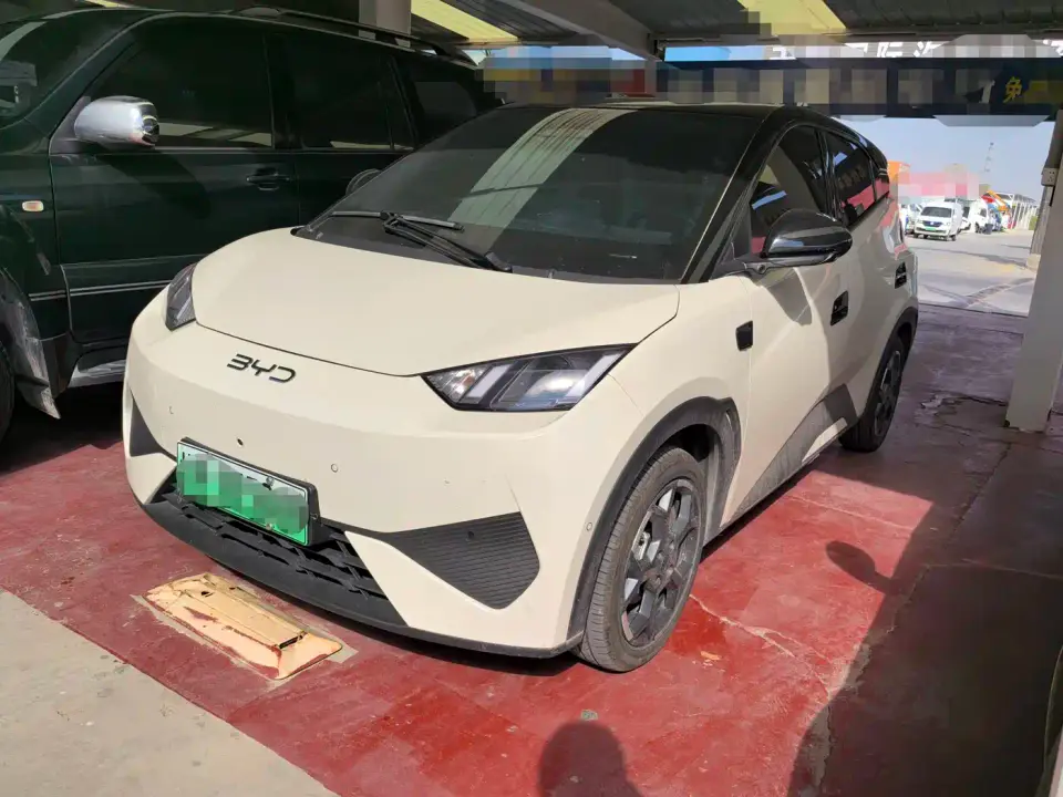 BYD Seagull Smart Driving Edition 405km Flying Edition 2025