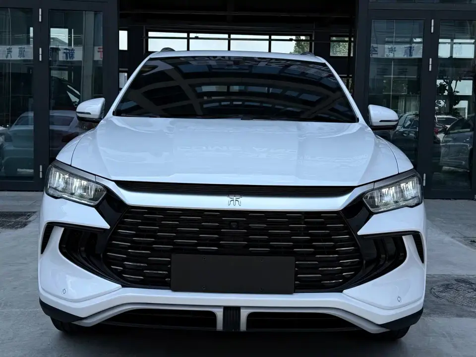 BYD Song Pro New Energy Champion Edition DM-i 110KM Excellence 2024