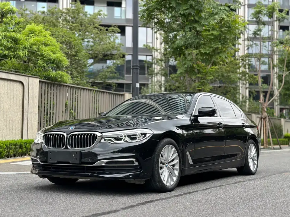 BMW 5 Series New Energy 530Le Luxury Package 2020
