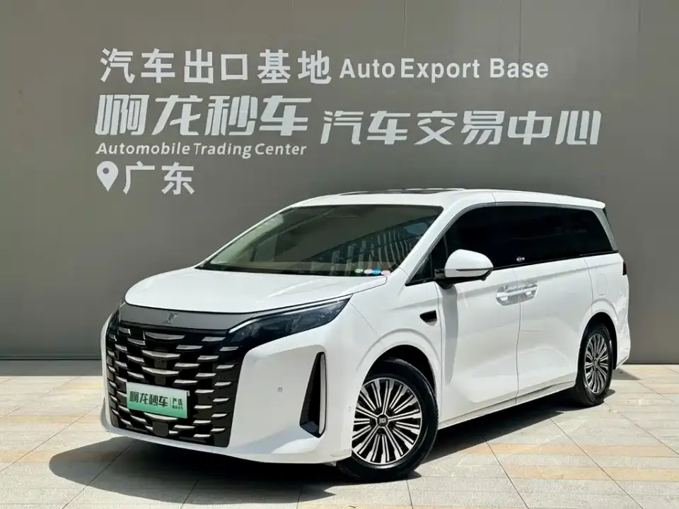 BYD Xia DM-i 1.5T 180km Surpass Edition 2025