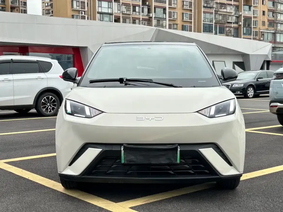 BYD Seagull 305km Freedom 2025