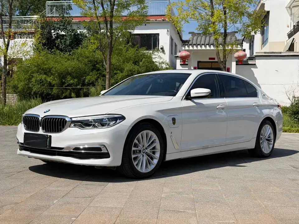 BMW 5 Series New Energy Facelift 530Le Luxury Package 2019